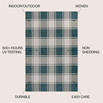 Sabine Traditional Farmhouse Bold Gingham Area Rug
